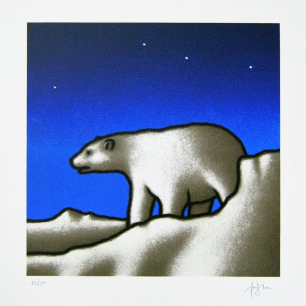 50x50 Orso