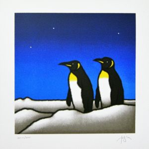 50x50 Pinguini