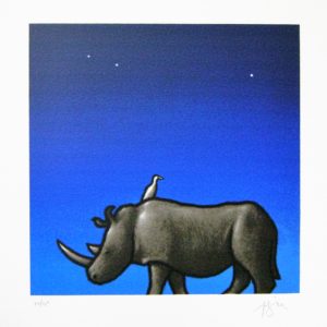 50x50 Rinoceronte