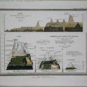 ditribuzione della piante sulle montagne